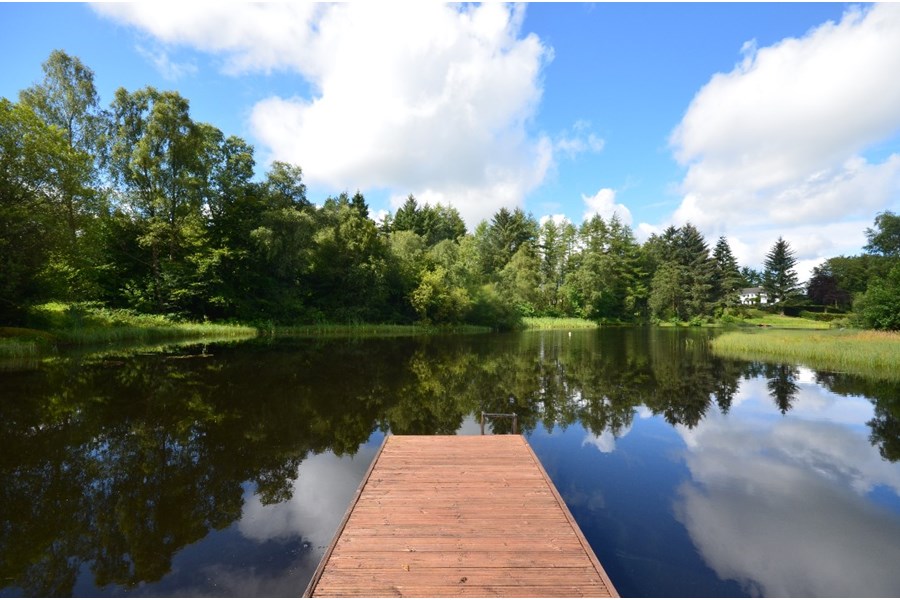 Unique Homes Thorpestone House Clyde Property