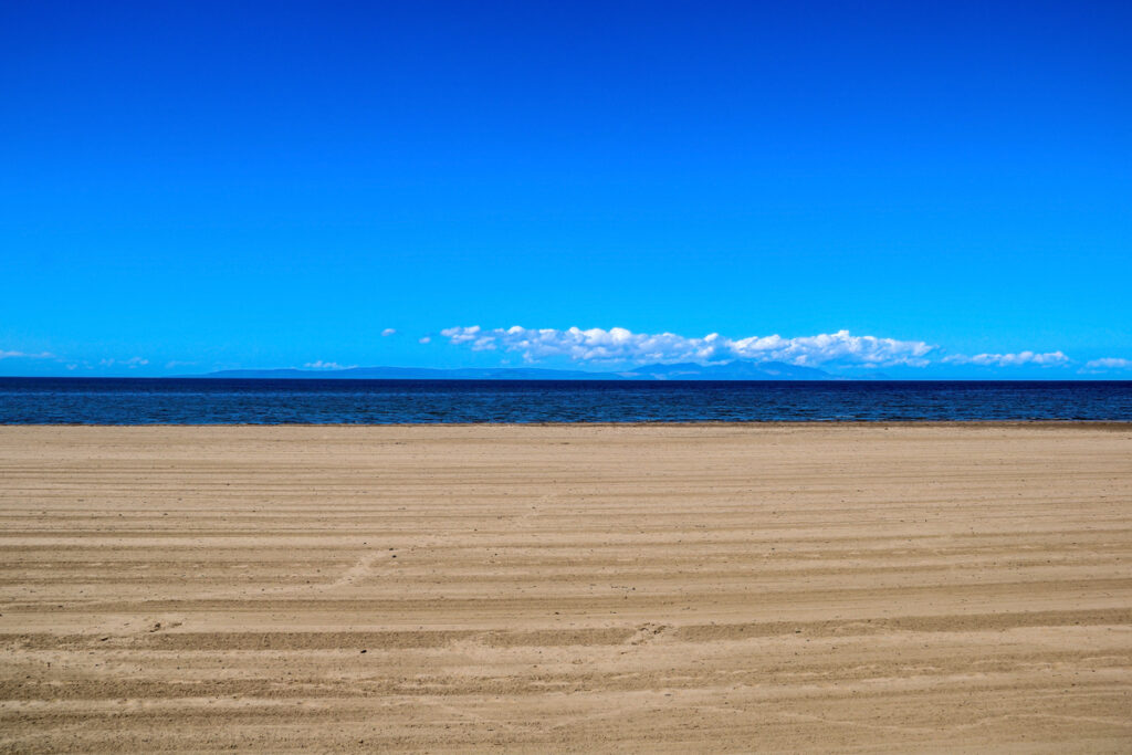 Ayr