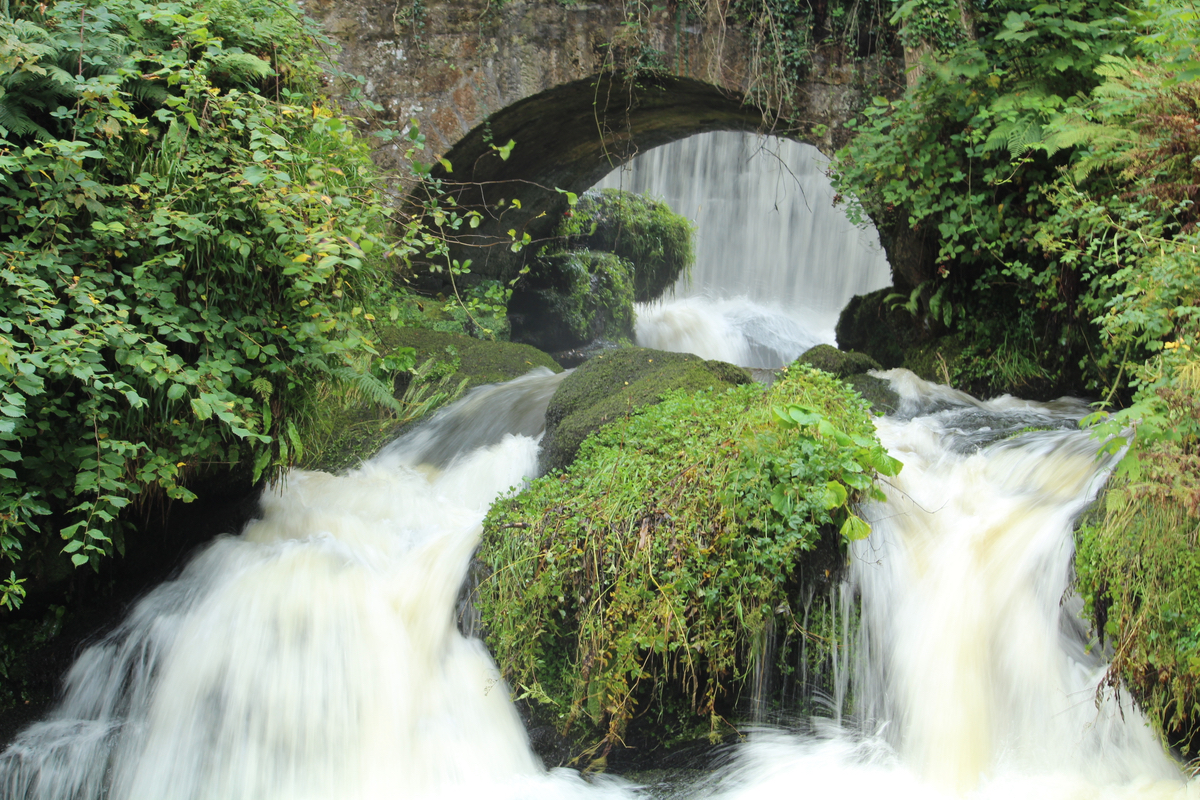 Clyde Property Clarkston 2018 Rightmove's Top Performing Local Agent