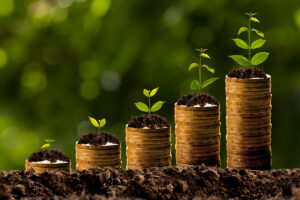 capital growth