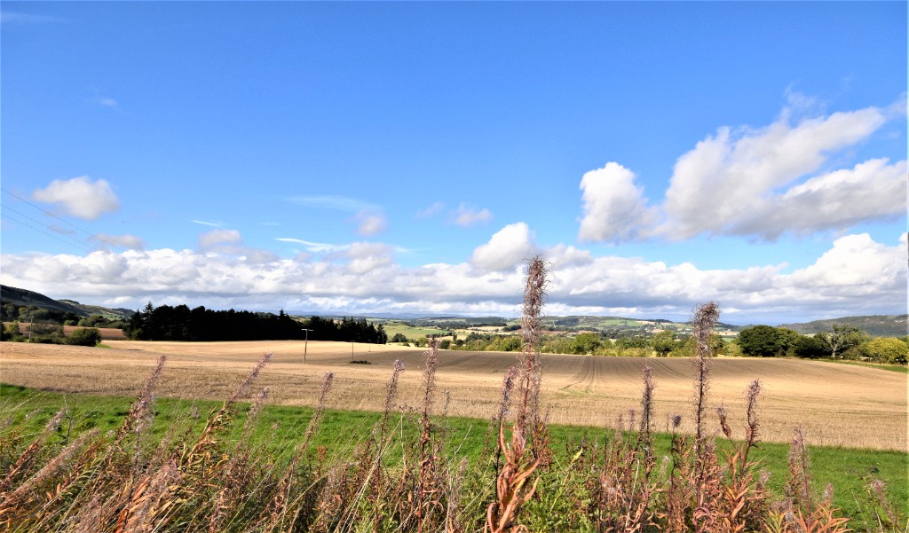 Clachan View, West Dron, Bridge of Earn, Perthshire, PH2 9FF Clyde